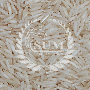 Traditional_rice
